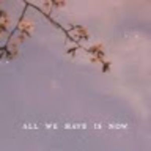 Meet your Posher, Eliza